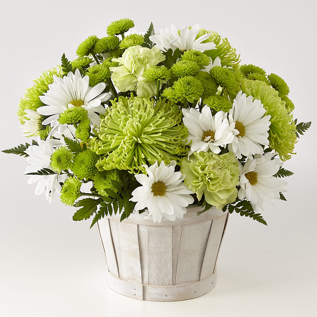 Lucky Charm Basket (Standard) – Fj Florist, Houston TX