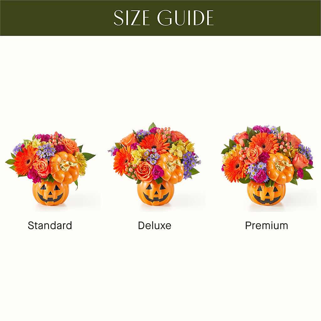 Tricks & Treats Pumpkin – Fj Florist, Houston TX
