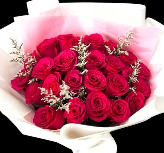 2 Dozen Hot Pink Wrapping