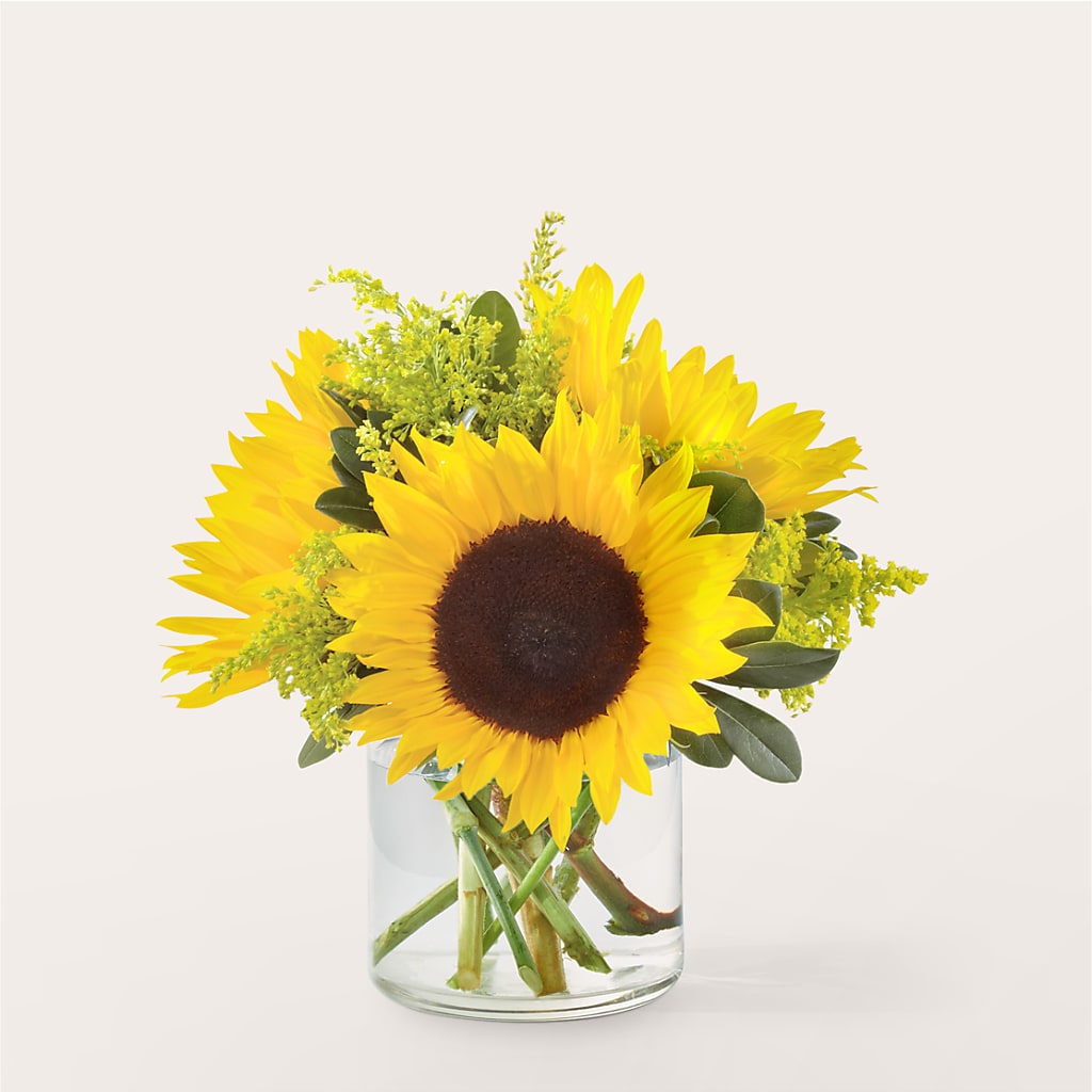 Beaming Sunflower Bouquet – Fj Florist, Houston TX