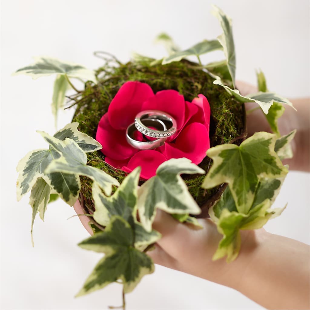 Lila Rose Ring Nest – Fj Florist, Houston TX