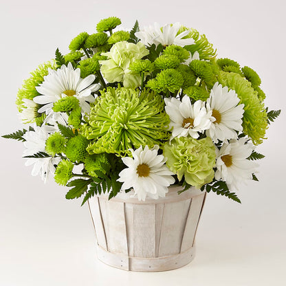 Lucky Charm Basket (Standard) –  Fj Florist, Houston TX