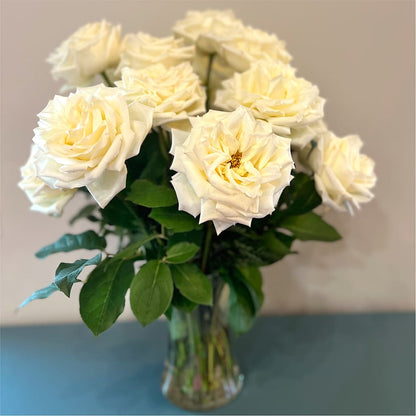 Long Stem Yellow Rose Bouquet –  Fj Florist, Houston TX