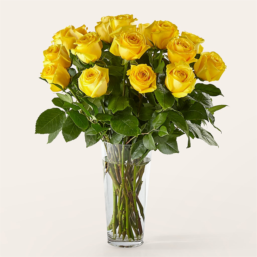 Long Stem Yellow Rose Bouquet –  Fj Florist, Houston TX