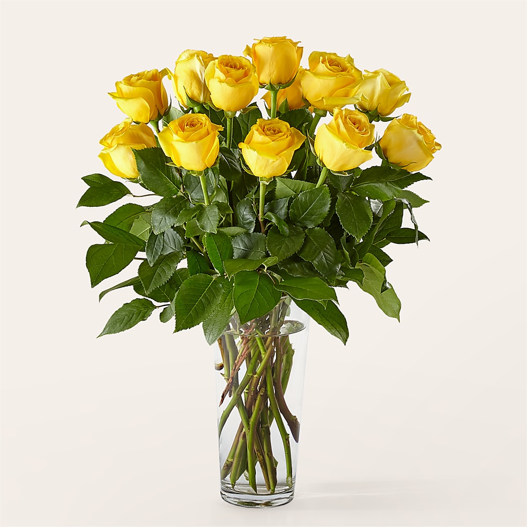 Long Stem Yellow Rose Bouquet –  Fj Florist, Houston TX