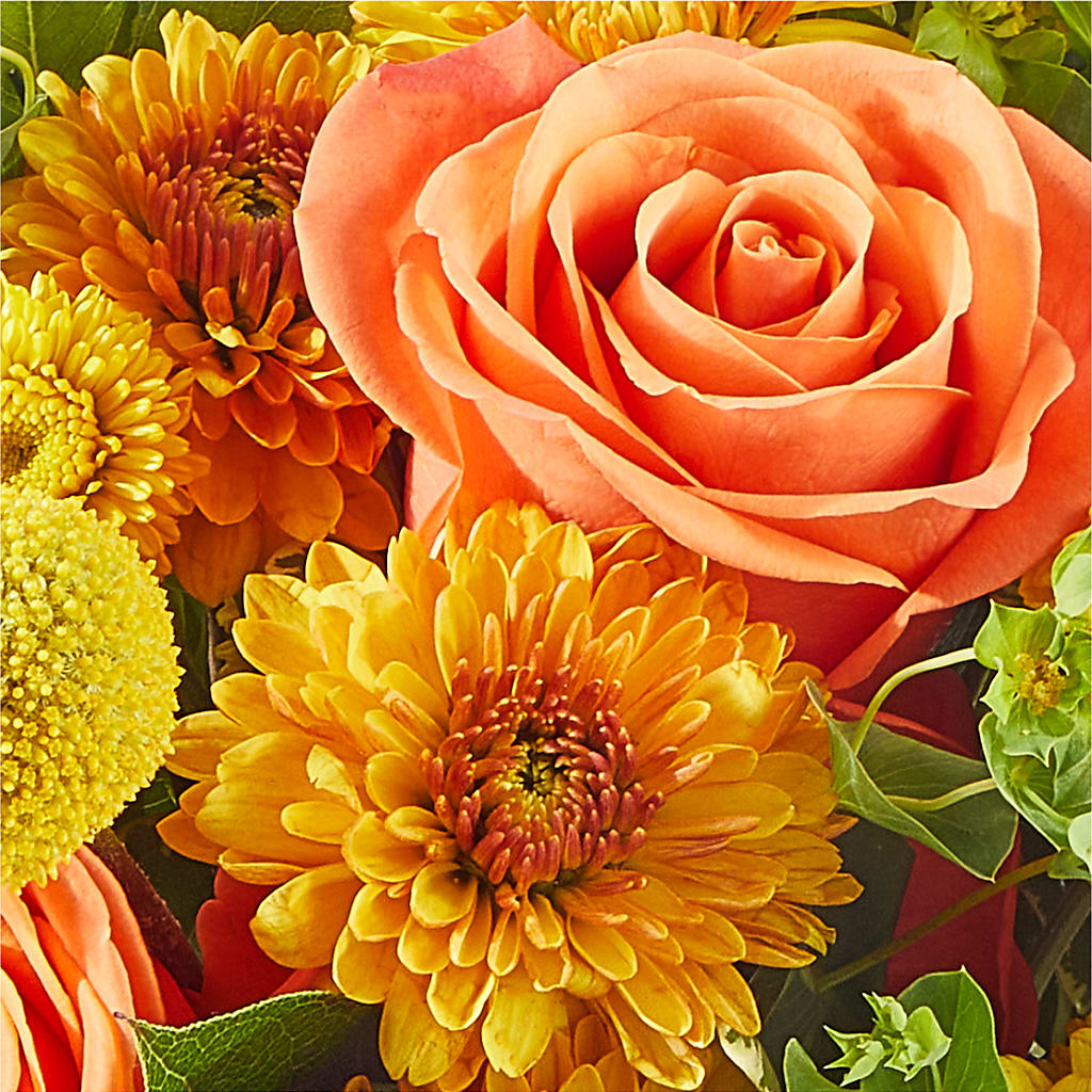 Gourdgeous Pumpkin –  Fj Florist, Houston TX