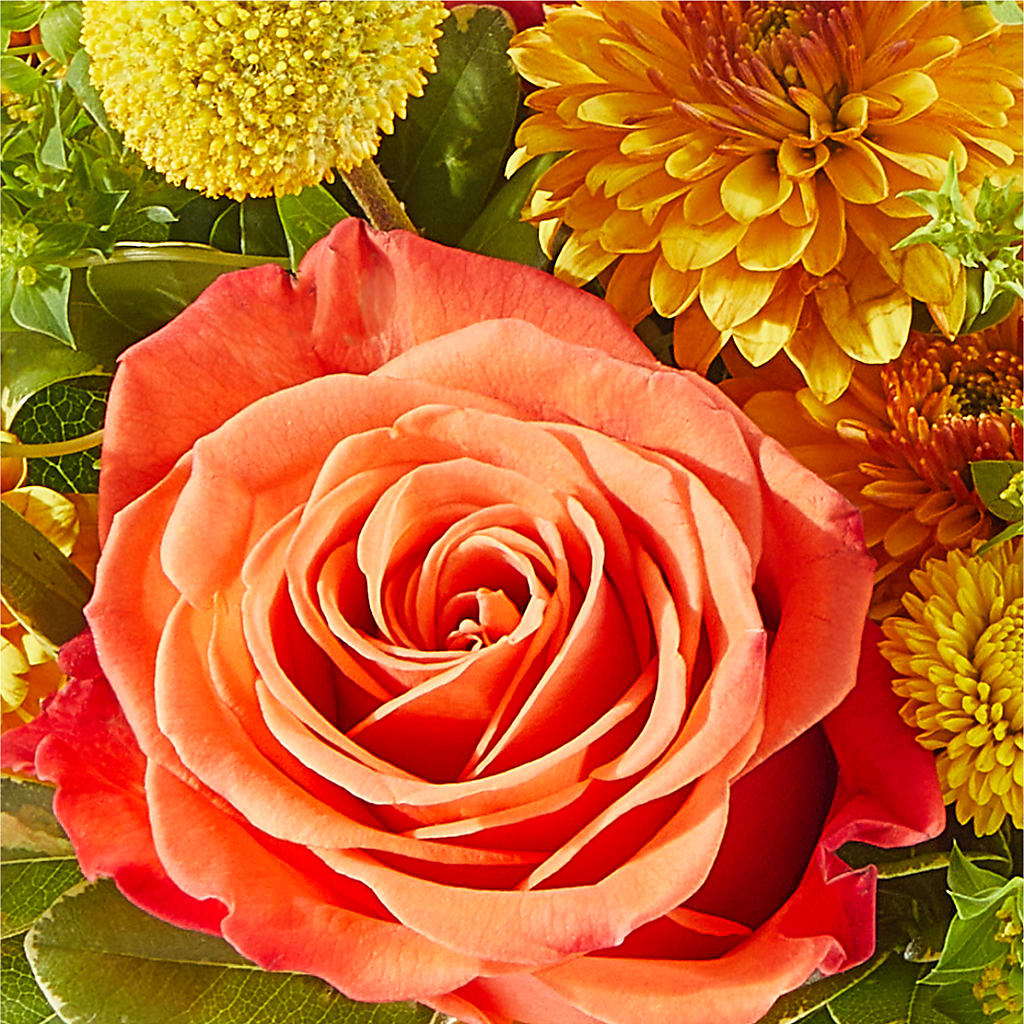 Gourdgeous Pumpkin –  Fj Florist, Houston TX