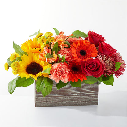 Autumn Orchard Bouquet –  Fj Florist, Houston TX