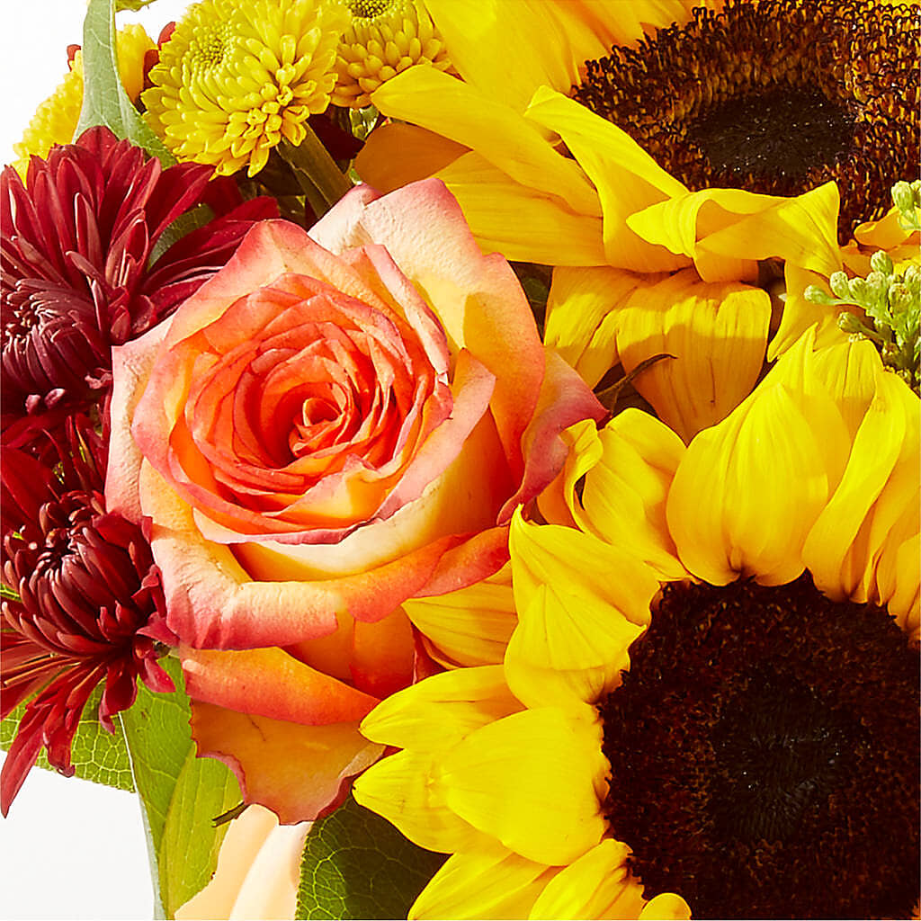 Golden Gourd Pumpkin Bouquet –  Fj Florist, Houston TX