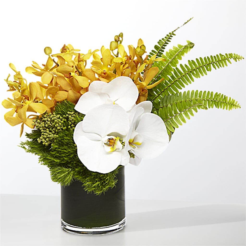 The Tropics –  Fj Florist, Houston TX