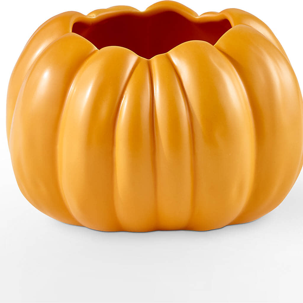 Golden Gourd Pumpkin Bouquet –  Fj Florist, Houston TX
