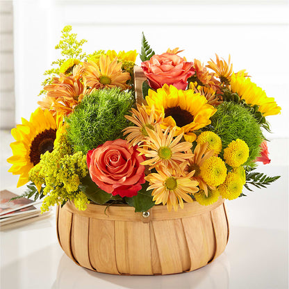 Harvest Sunflower Basket –  Fj Florist, Houston TX
