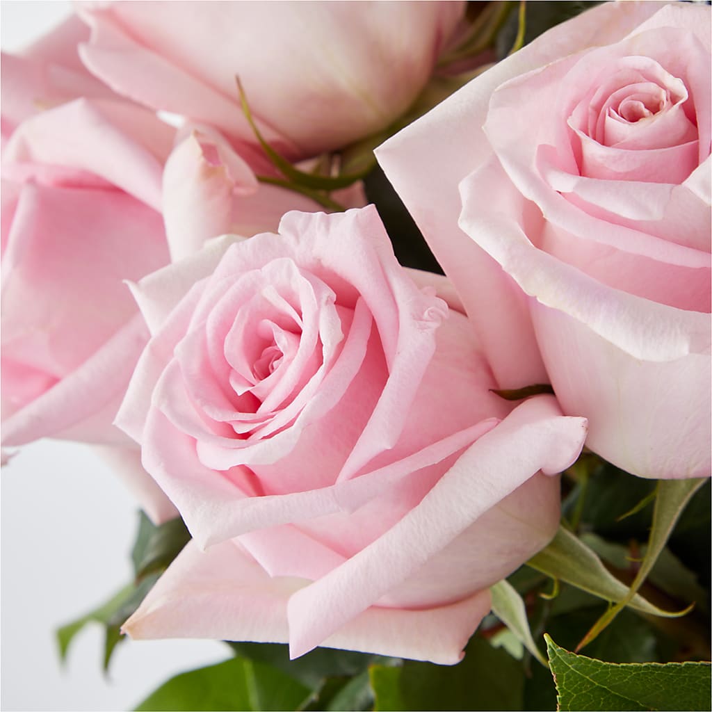 Picture Perfect Pink Rose Bouquet –  Fj Florist, Houston TX