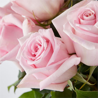 Picture Perfect Pink Rose Bouquet –  Fj Florist, Houston TX