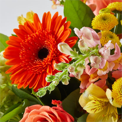 Autumn Sunshine Bouquet –  Fj Florist, Houston TX