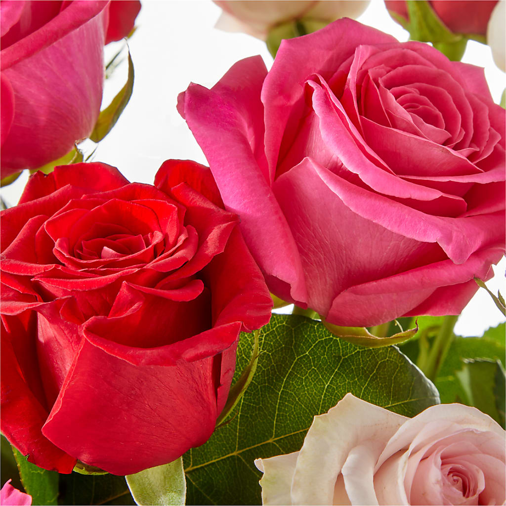Charming Rose Bouquet –  Fj Florist, Houston TX