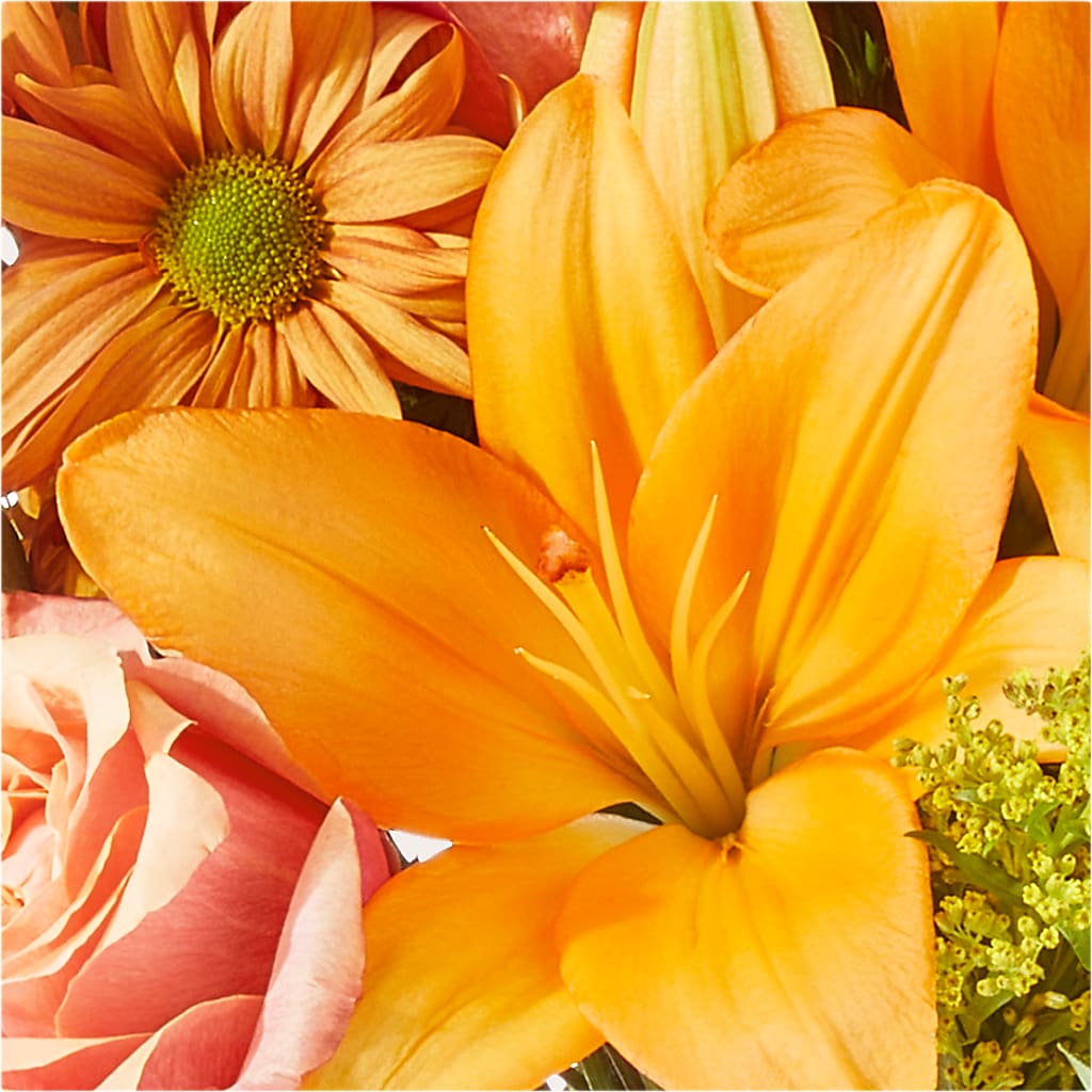 Harvest Hayride Bouquet –  Fj Florist, Houston TX