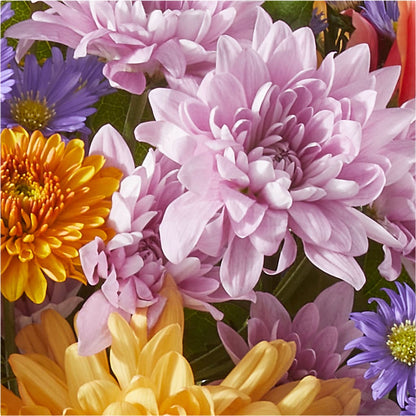 Countryside Bouquet –  Fj Florist, Houston TX