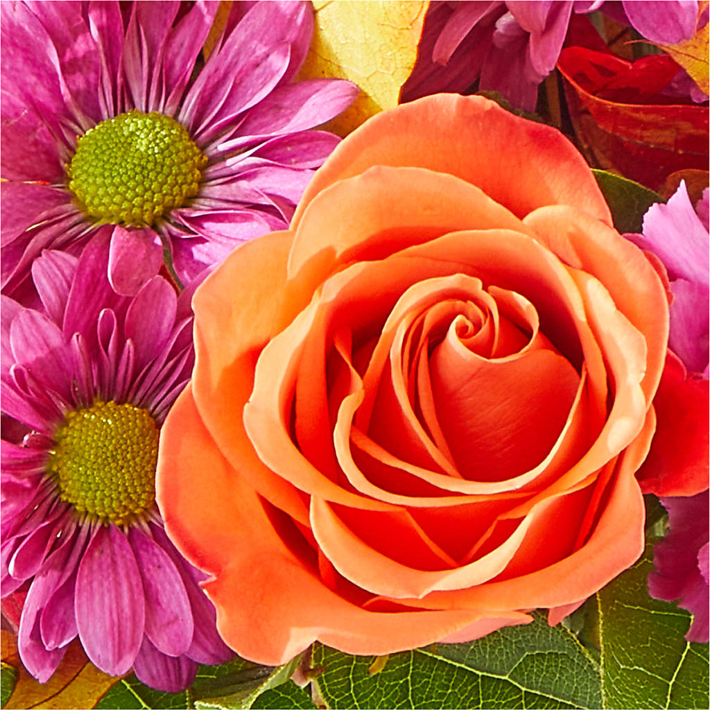 Mum's the Word Bouquet –  Fj Florist, Houston TX