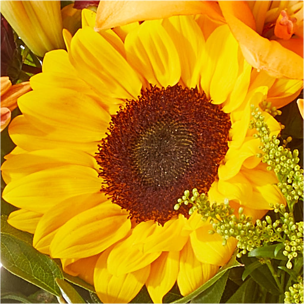 Seasons Change Bouquet –  Fj Florist, Houston TX
