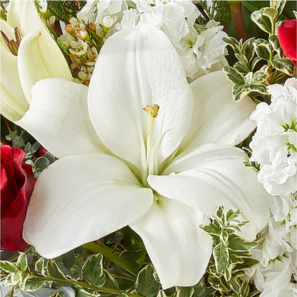 Twinkle Lights Bouquet –  Fj Florist, Houston TX