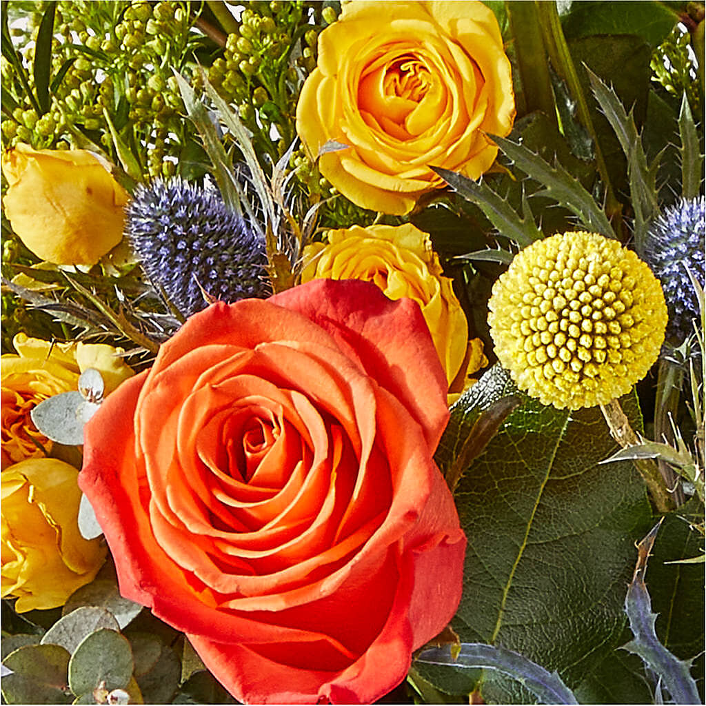 Disco Bouquet –  Fj Florist, Houston TX