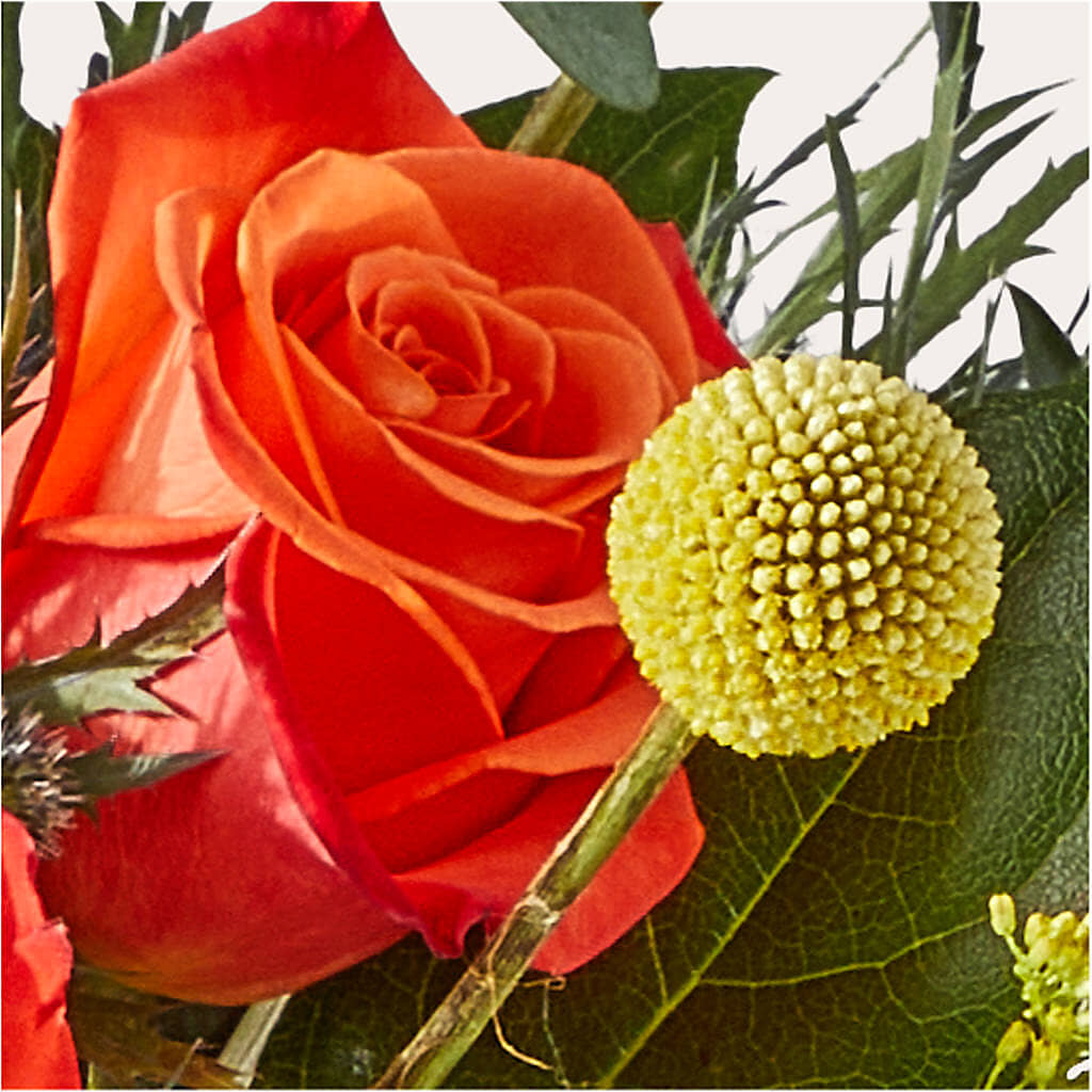 Disco Bouquet –  Fj Florist, Houston TX