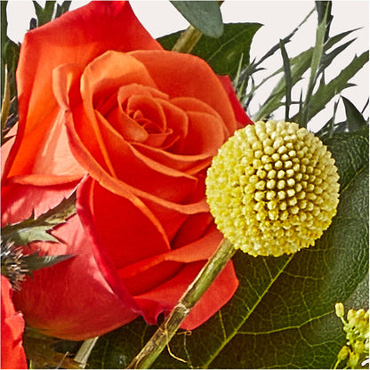 Disco Bouquet –  Fj Florist, Houston TX