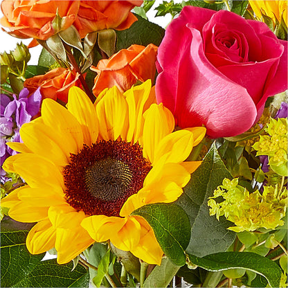 Vibrant Greetings Bouquet –  Fj Florist, Houston TX