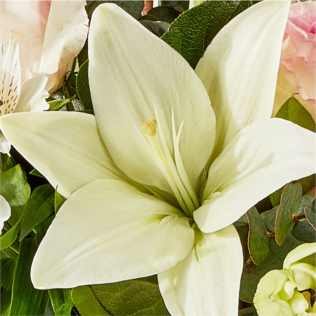 Ballet Slippers Bouquet –  Fj Florist, Houston TX