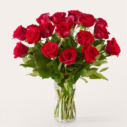 The One Red Rose Bouquet –  Fj Florist, Houston TX