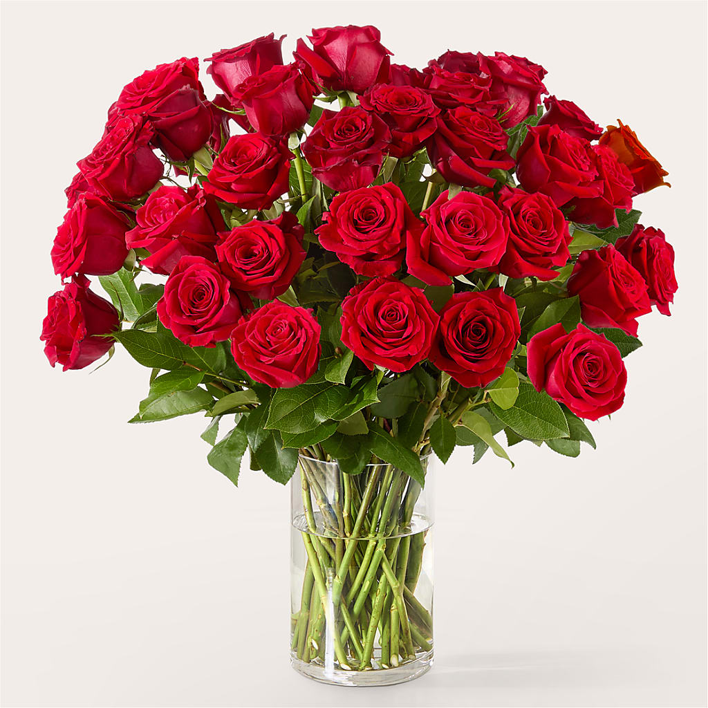 The One Red Rose Bouquet –  Fj Florist, Houston TX
