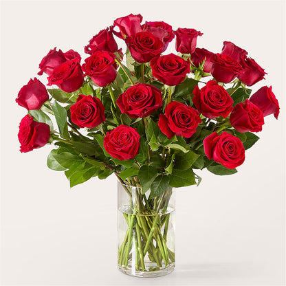 The One Red Rose Bouquet –  Fj Florist, Houston TX