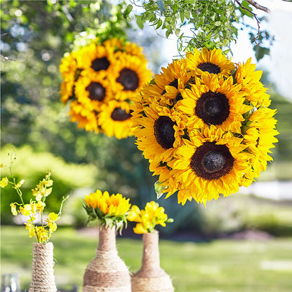 Sublime Garden Hanging Arrangement –  Fj Florist, Houston TX
