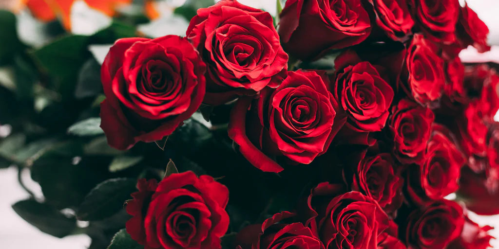 homepageBannerMetadata_Image_1778692813300.webp